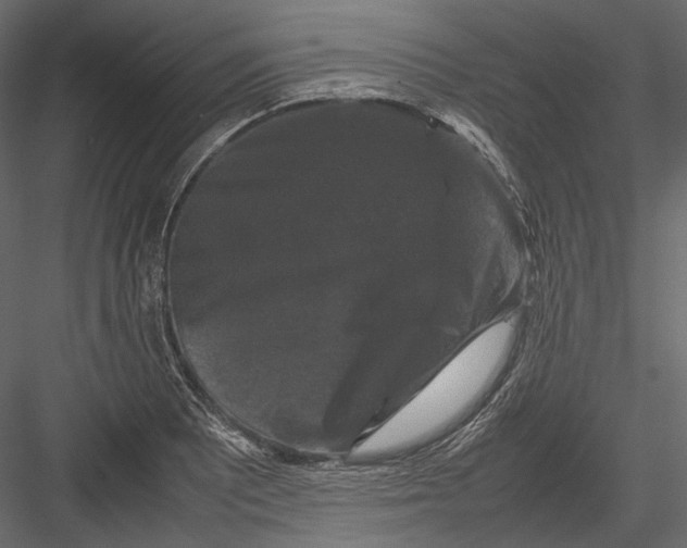 X0000082971081200702230000