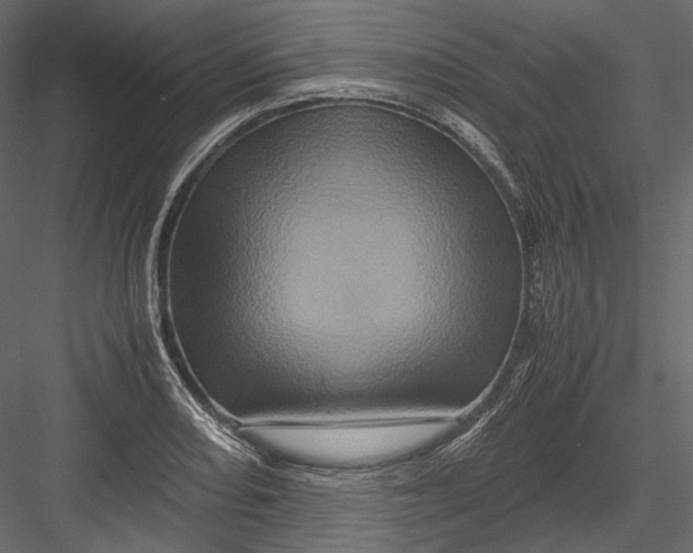 X0000082971082200702230000