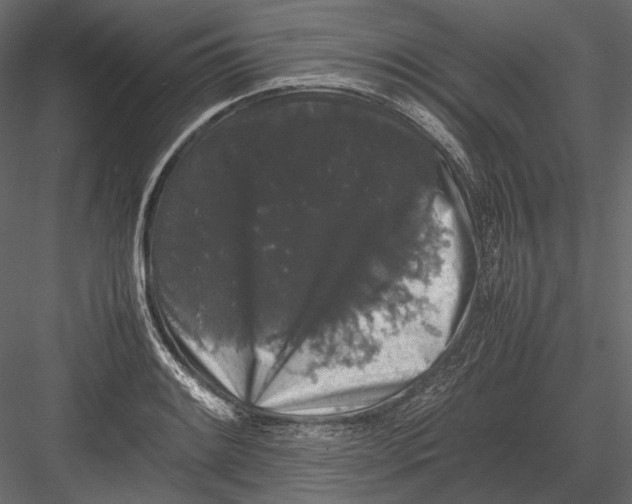 X0000082971084200702230000