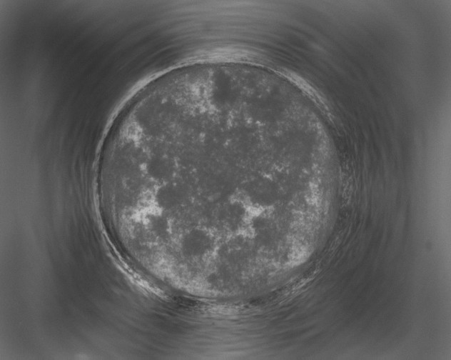 X0000082971086200702230000