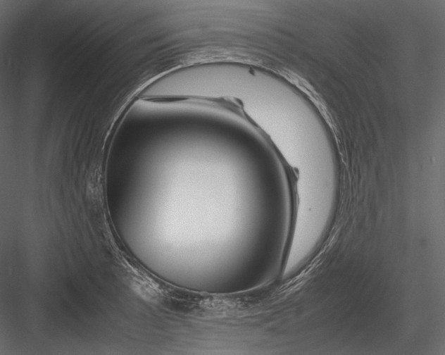 X0000082971089200702230000