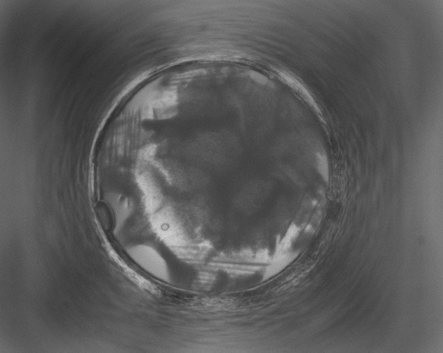 X0000082971095200702230000