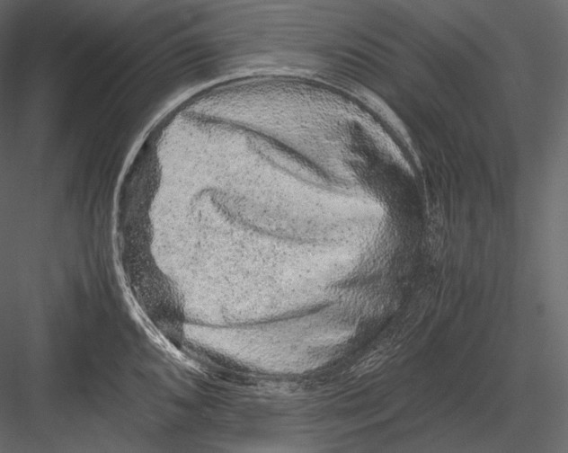 X0000082971096200702230000