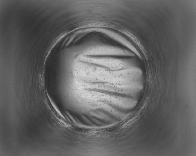 X0000082971097200702230000