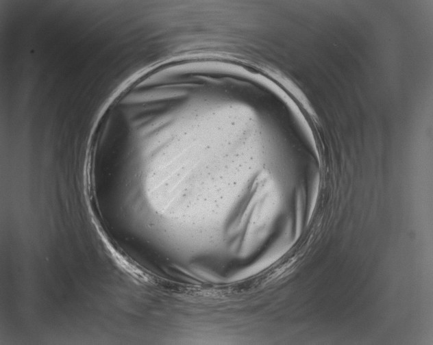 X0000082971101200702230000