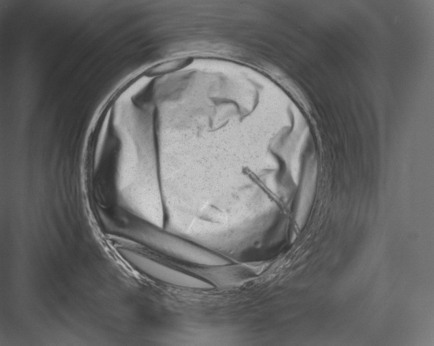 X0000082971104200702230000