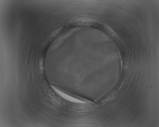 X0000082971108200702222359