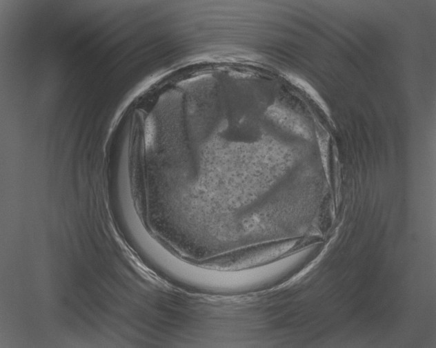 X0000082971114200702222359