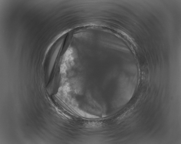 X0000082971117200702222359