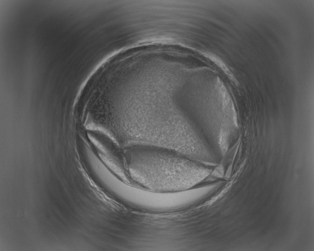 X0000082971118200702222359