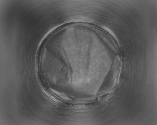 X0000082971120200702222359