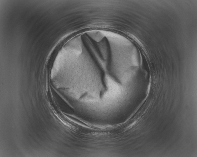 X0000082971123200702222359