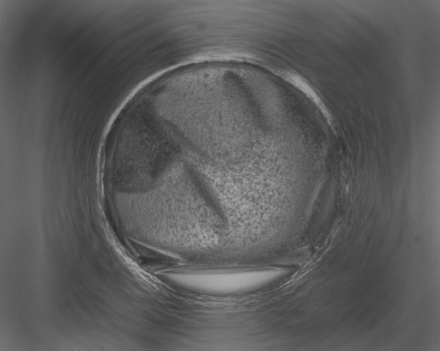X0000082971124200702222359