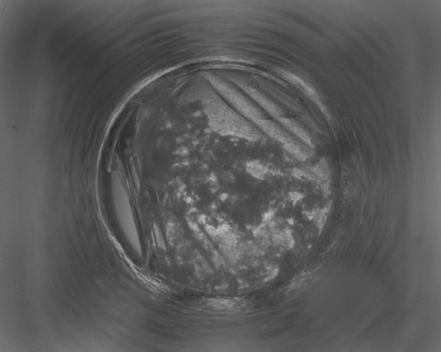 X0000082971125200702222359