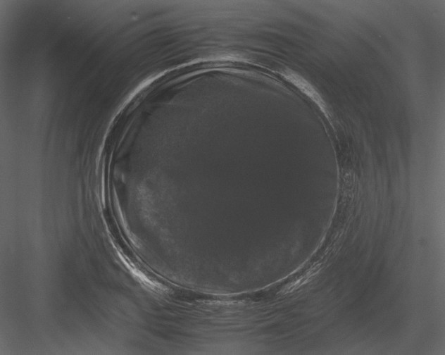 X0000082971127200702222359