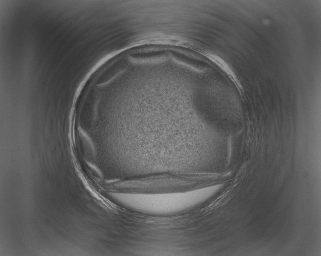 X0000082971128200702222359