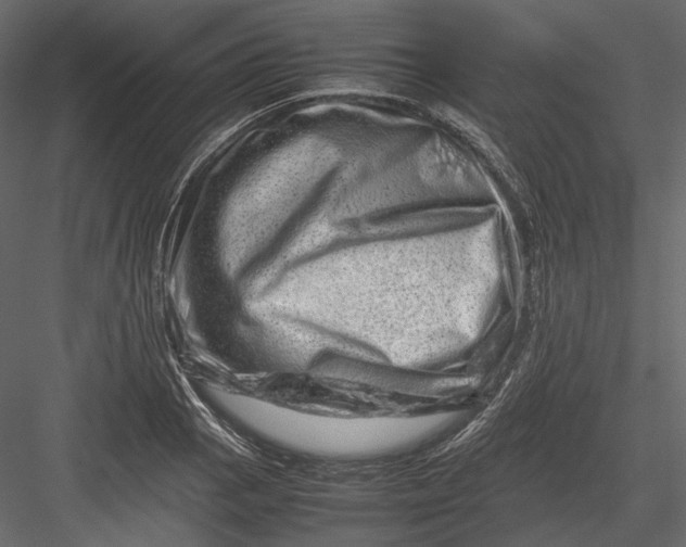 X0000082971129200702222359