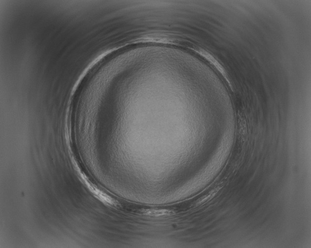 X0000082971131200702222359