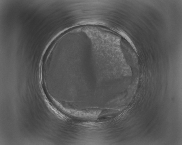 X0000082971132200702222359