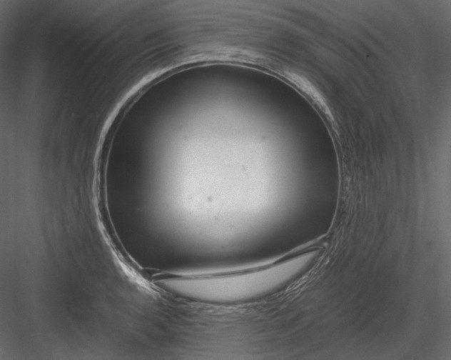 X0000082971136200702222359