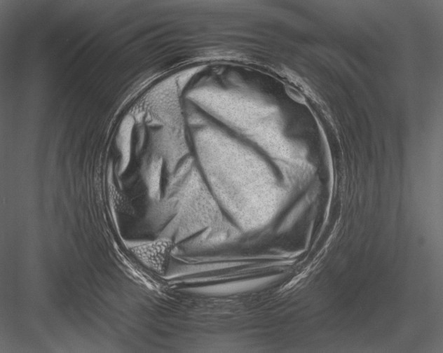 X0000082971137200702222359