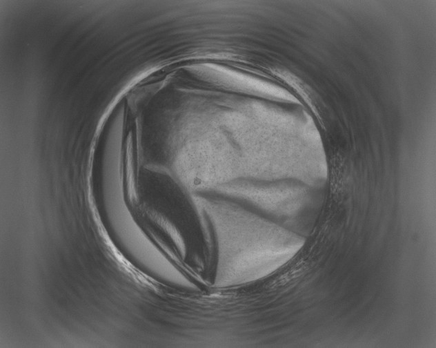 X0000082971139200702222359