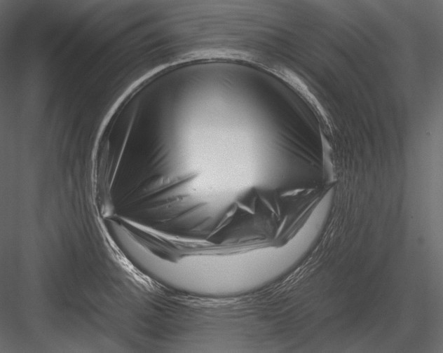 X0000082971140200702222359