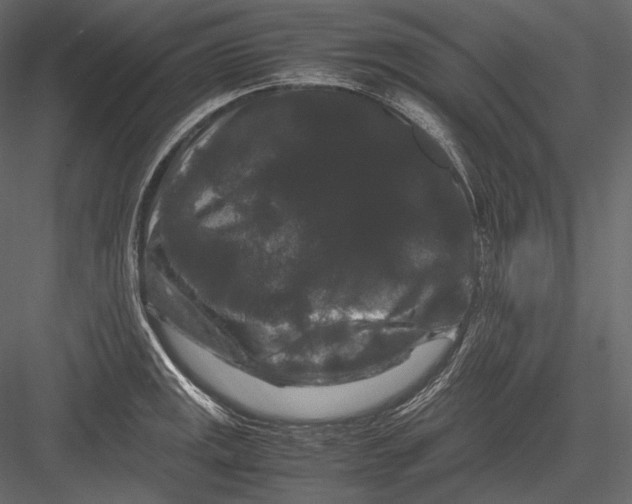 X0000082971141200702222359