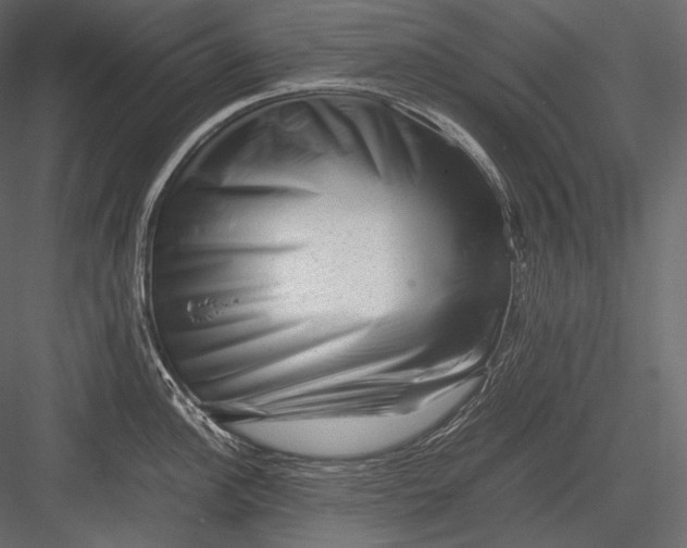 X0000082971148200702230000