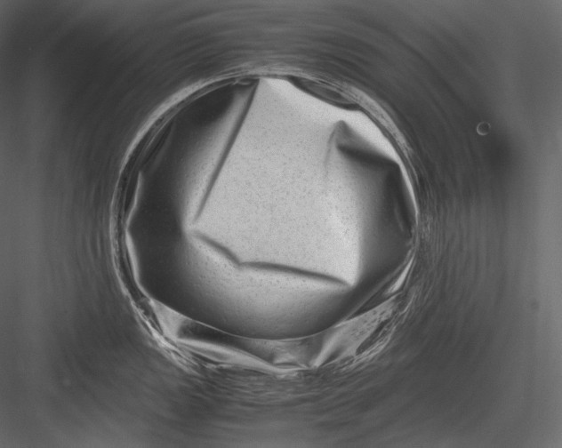X0000082971149200702230000