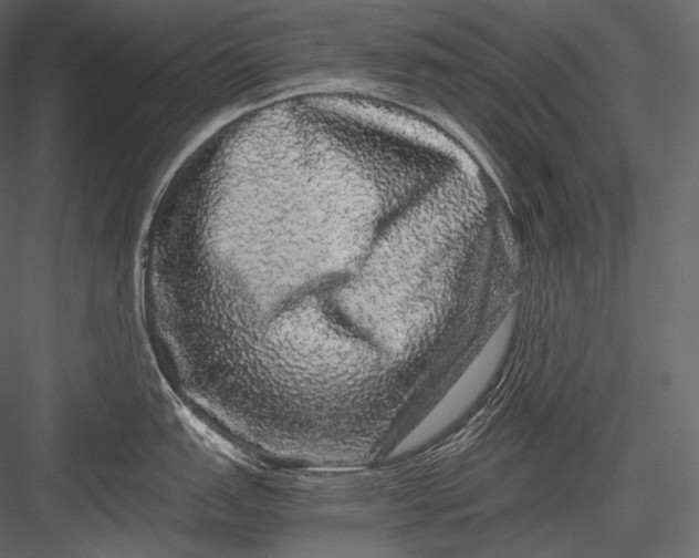 X0000082971151200702230000