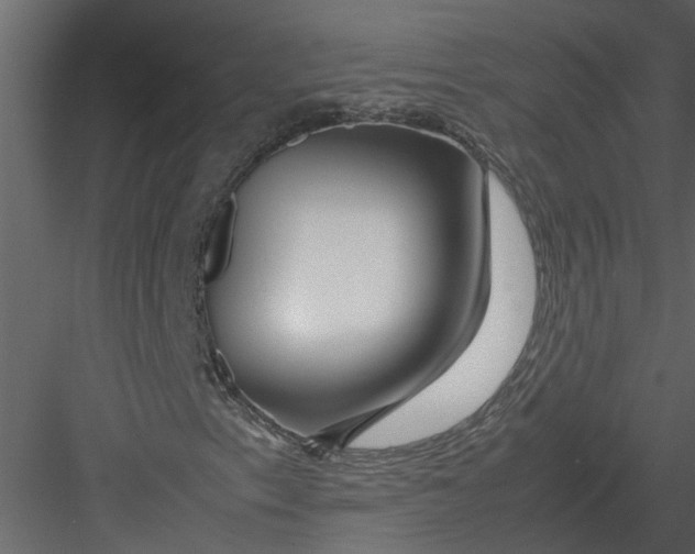 X0000082971153200702222359