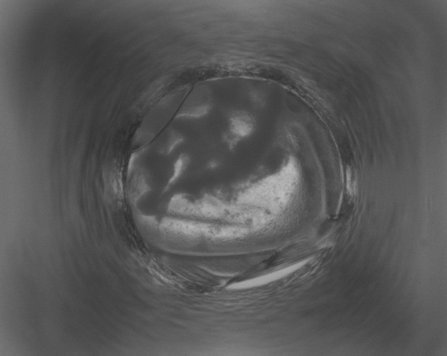 X0000082971155200702222359