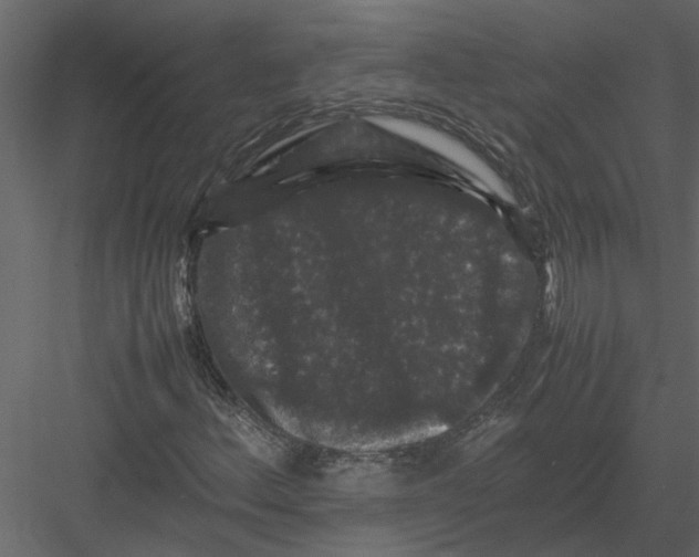 X0000082971156200702222359
