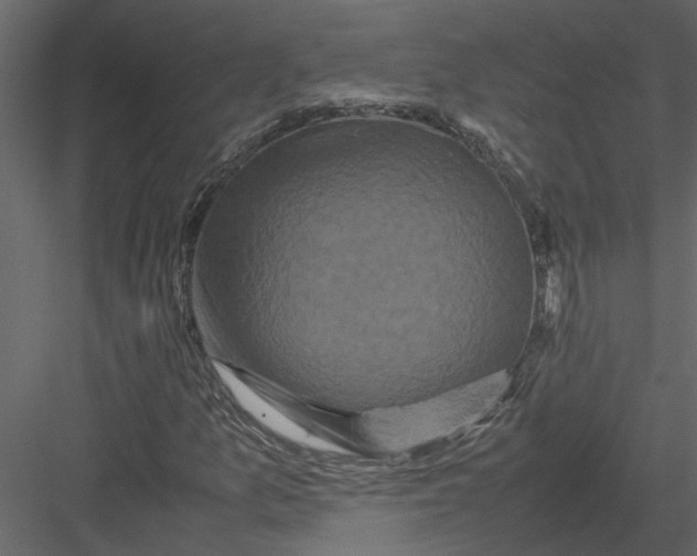X0000082971157200702222359