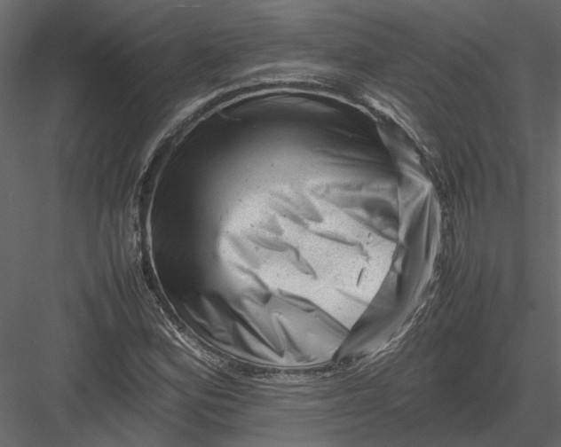 X0000082971164200702222359