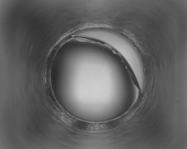 X0000082971165200702222359
