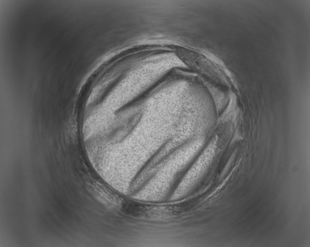 X0000082971167200702222358