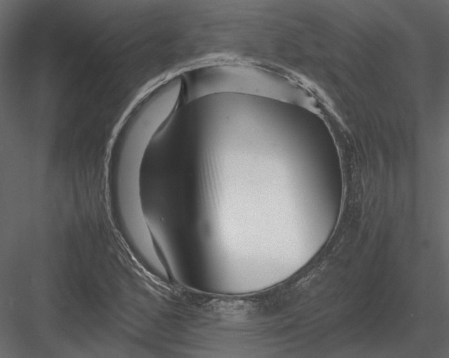 X0000082971168200702222358