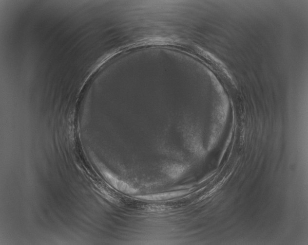 X0000082971170200702222358