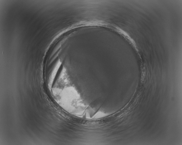 X0000082971174200702222358