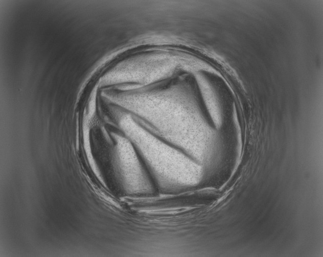 X0000082971175200702222358