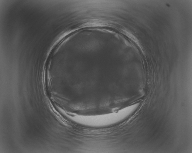 X0000082971179200702222358