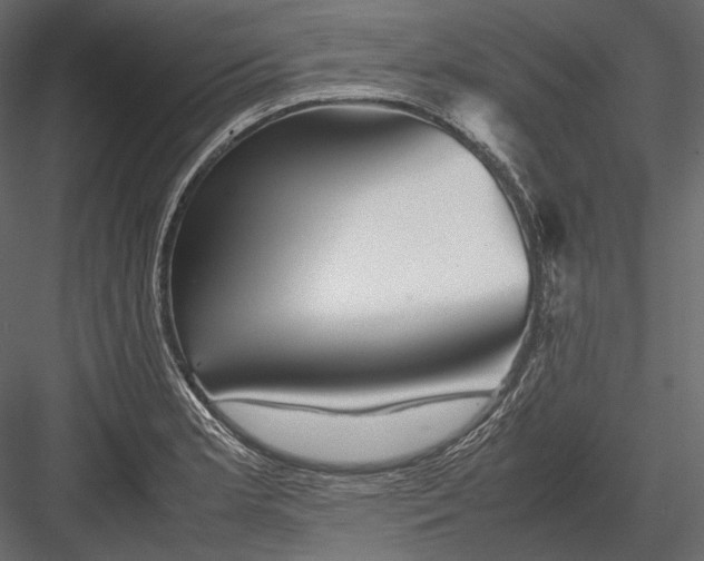X0000082971181200702222358