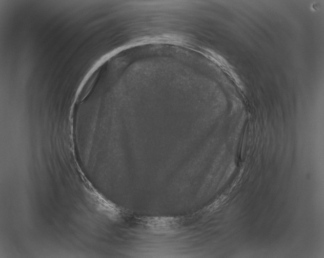 X0000082971184200702222358