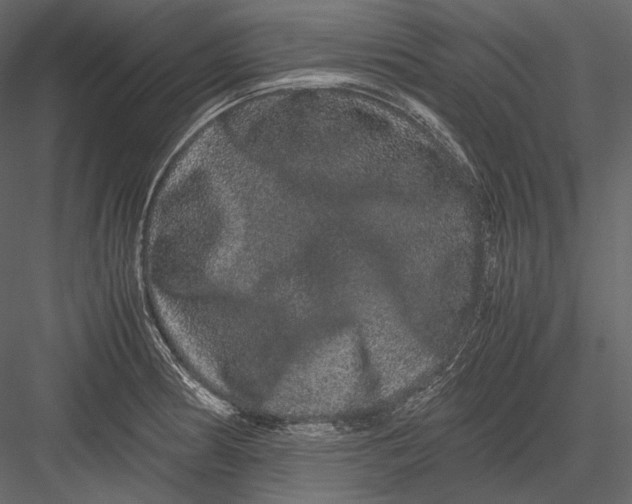 X0000082971186200702222358