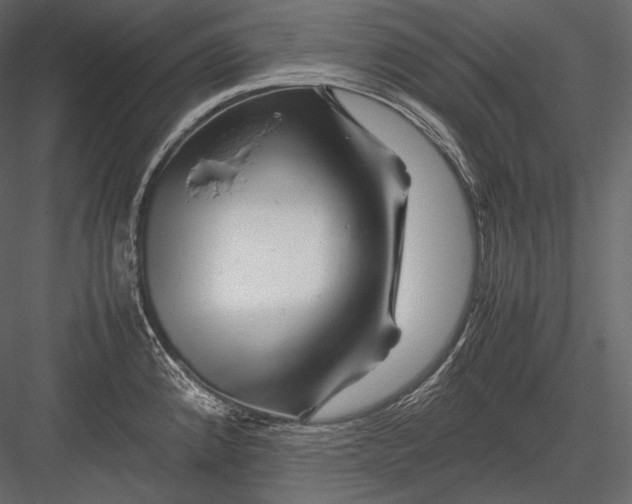 X0000082971192200702222358