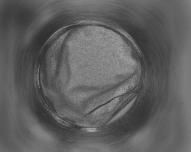 X0000082971199200702222358
