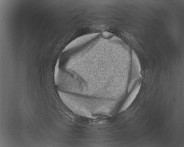 X0000082971201200702222357