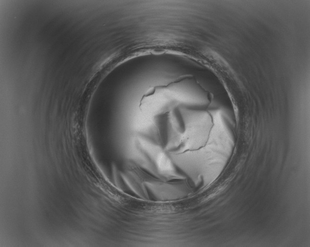 X0000082971210200702222357